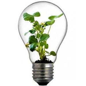 Lightbulb with Growth