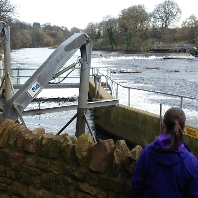 Nicola at Halton Hydro