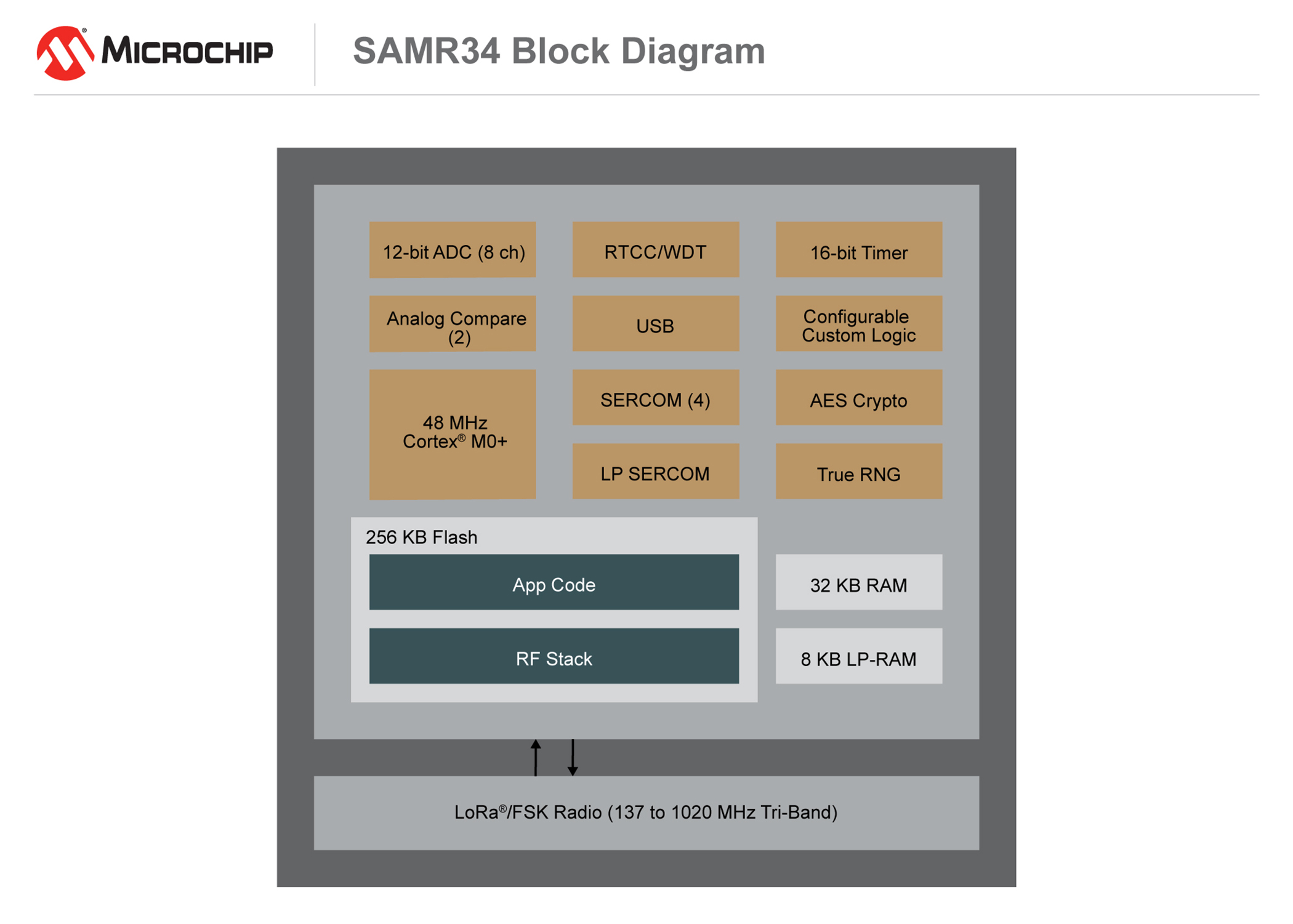 SAMR3536_Block_Diagram