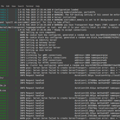 The Things Network v3 Docker Build